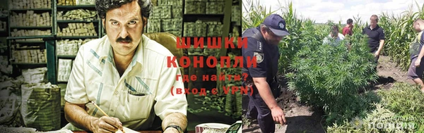 дурь Нязепетровск